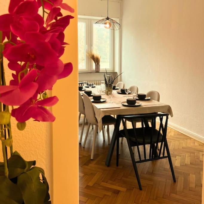 科布倫茨Gemuetliche Rheinblick Residenz公寓 外观 照片